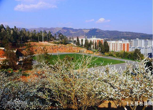 眉山藥科職業學院學費多少錢一年