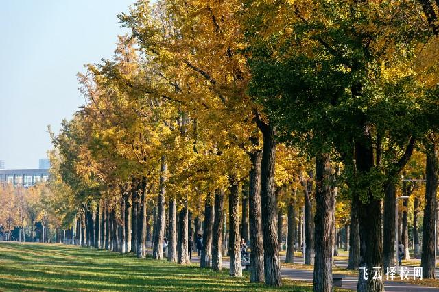 樂山職業技術學院中專部地址