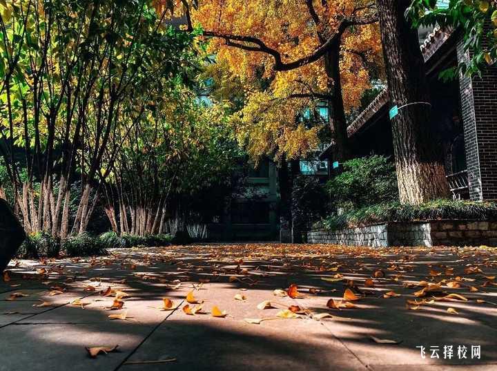 樂山職業(yè)技術(shù)學(xué)院中專部地址