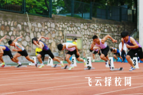 2024體育生能報考哪些院校