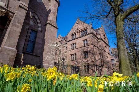 成都有幼師專業的大專