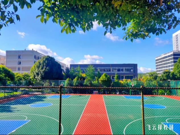 成都正在招生的大專學(xué)校