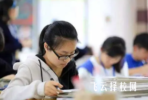 300多分建議走單招嗎