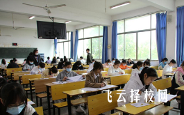 300多分建議走單招嗎