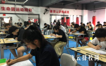 2025單招有沒有本科學校