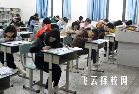 成都辰大單招培訓怎么樣