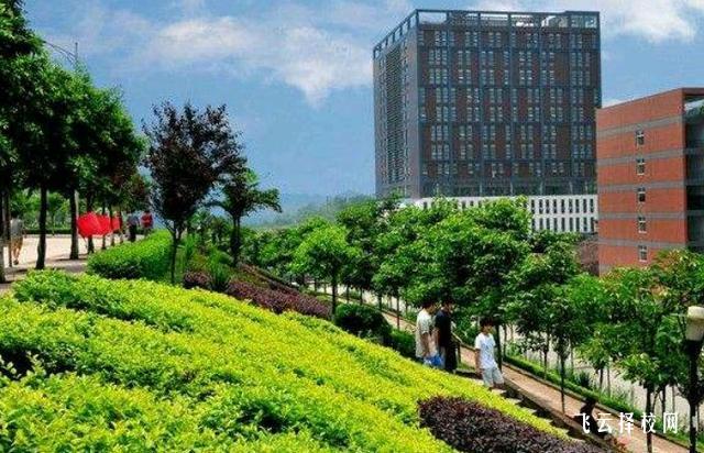 參加單招培訓有用嗎