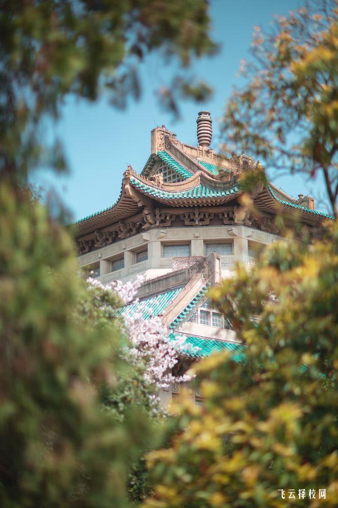 錯過今年單招明年還可以考嗎