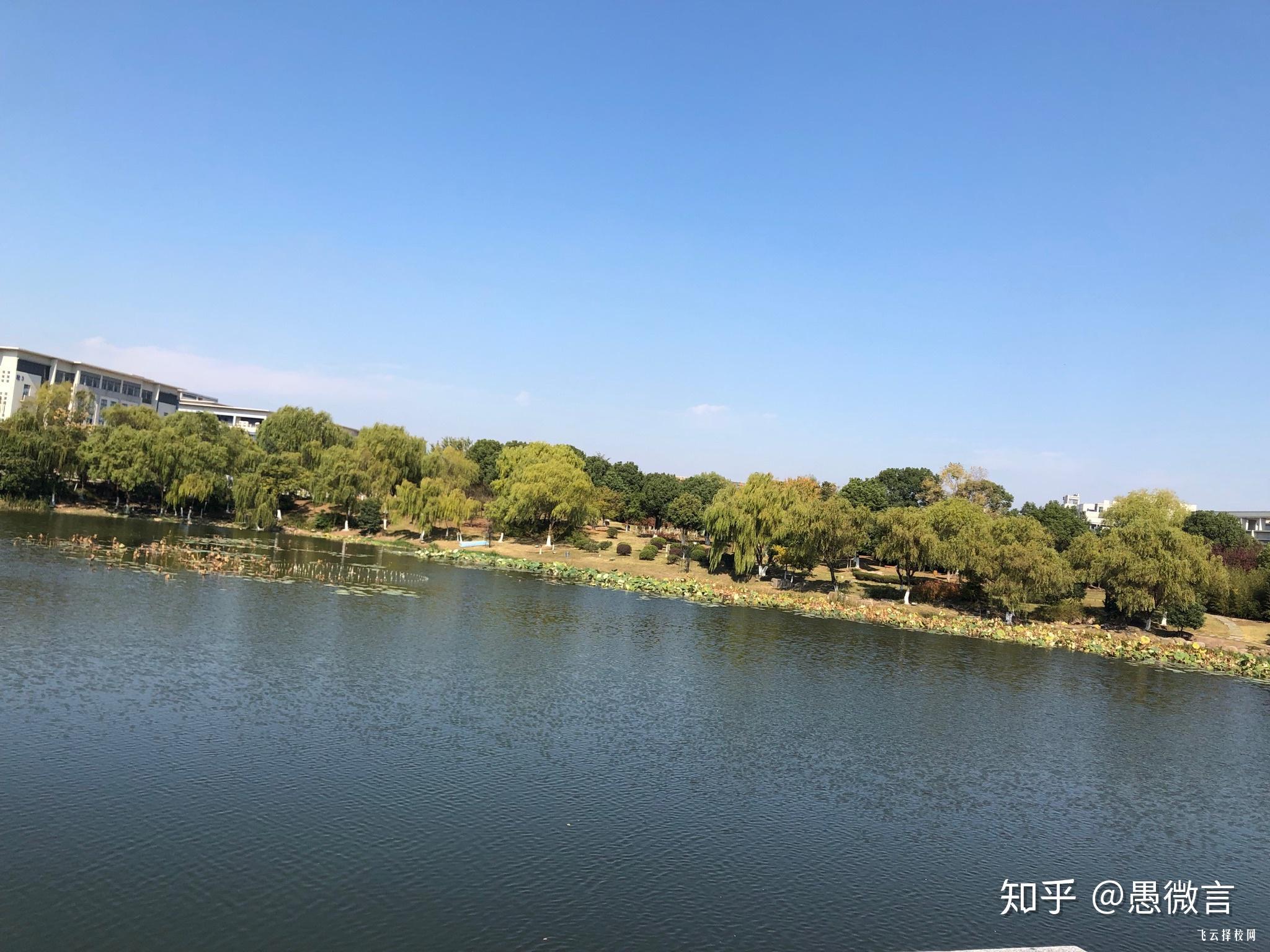 錯(cuò)過今年單招明年還可以考嗎