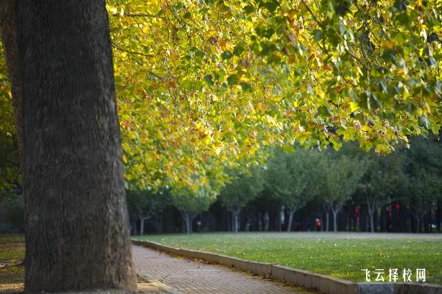 達州有沒有普高單招培訓機構