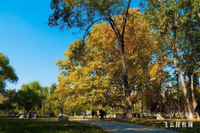 單招410分可以上什么學校