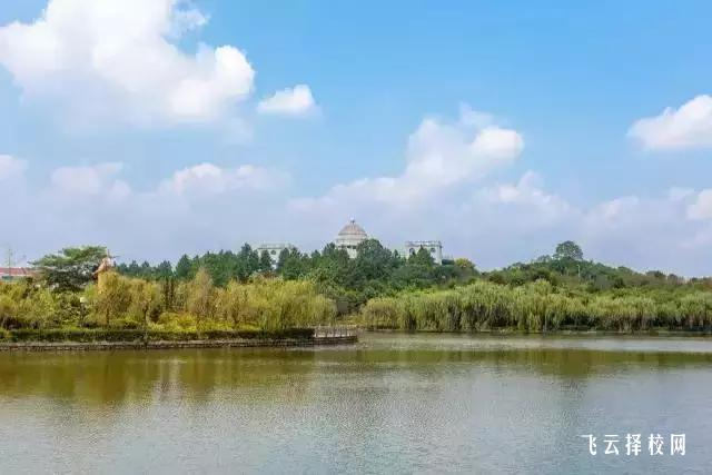 單招報名后可以換學校嗎