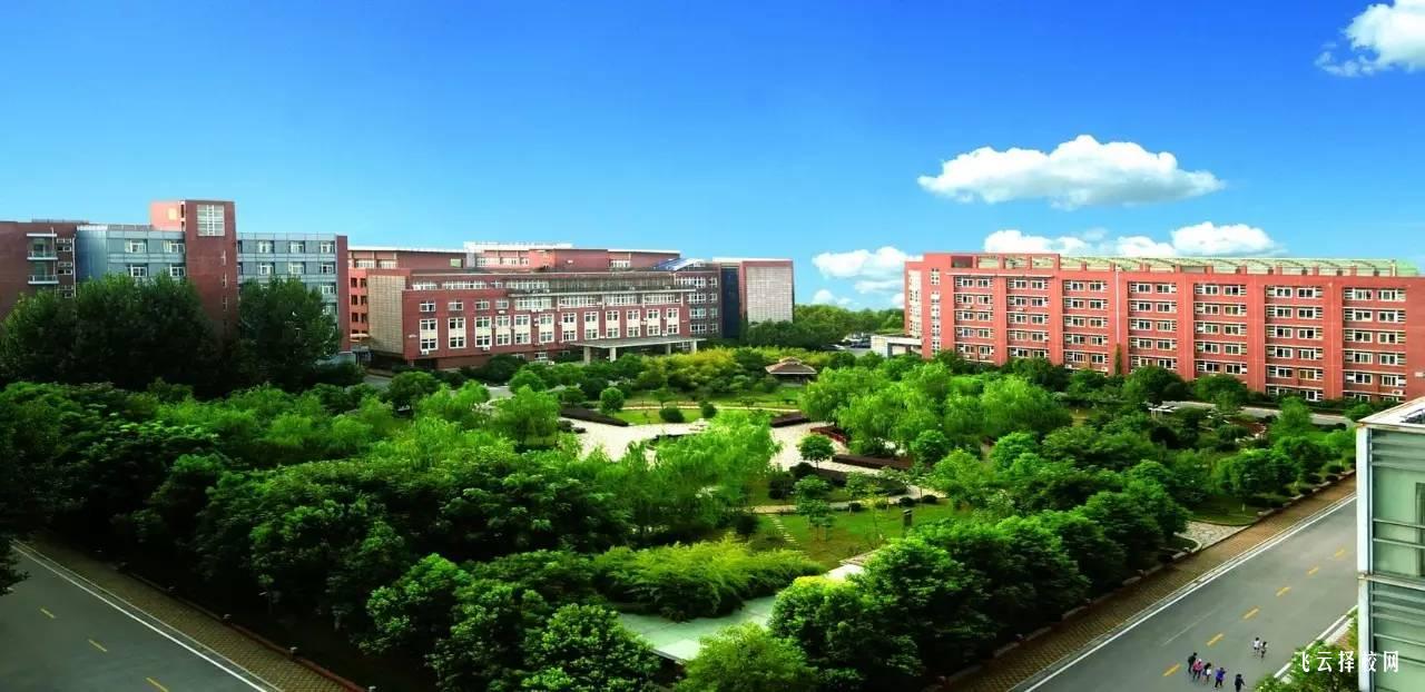 單招報名沒有現場確認怎么辦