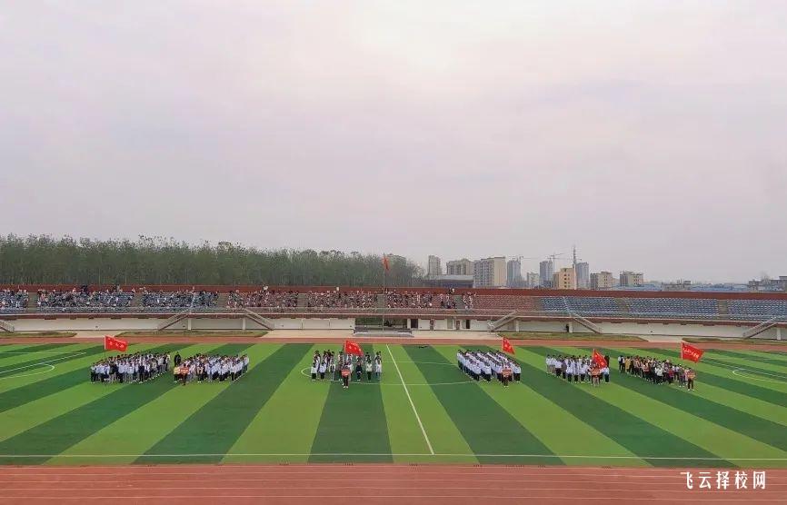 單招到底是不是一個好的選擇