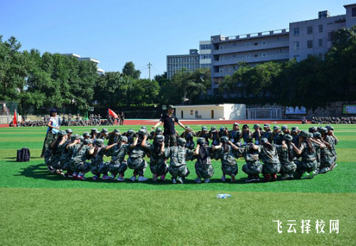 單招到底是不是一個好的選擇