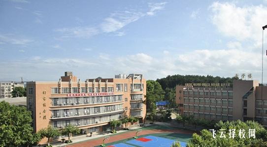 單招都是專科嗎