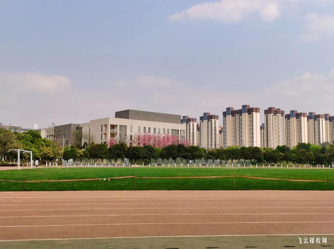 單招分數線一般多少分能過