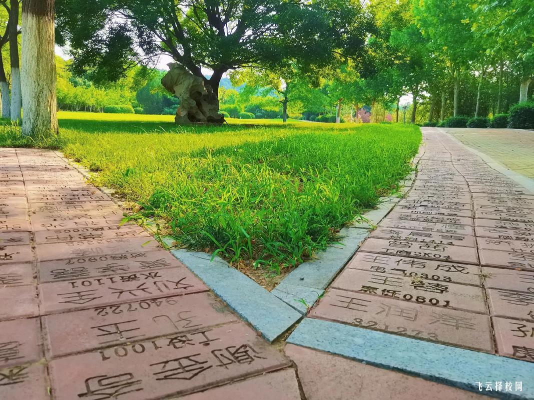 眉山藥科護(hù)理單招分?jǐn)?shù)線多少