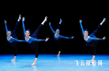 單招有舞蹈專業嗎