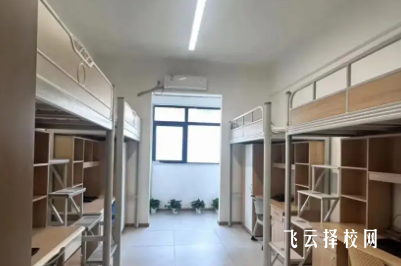 高三的單招一般什么時候進行