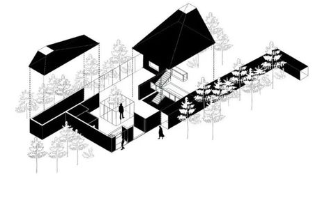 高三走單招學什么比較好