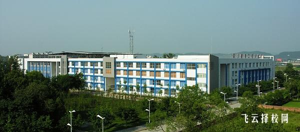 今年四川單招分數線多少