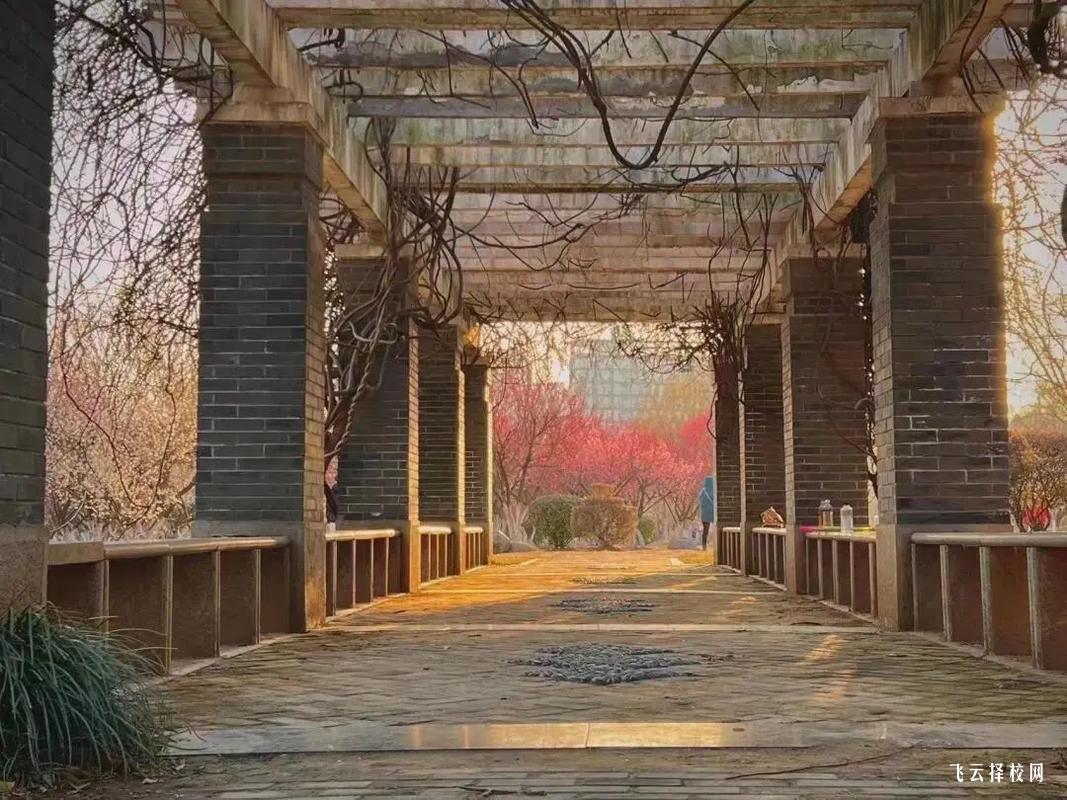 四川省單招有針灸專業嗎