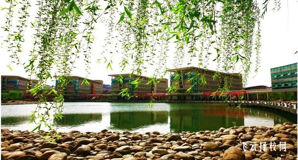 四川文科單招可以選的專業