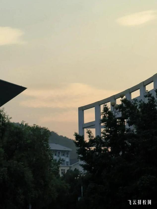 新都哪里可以補習單招考試的