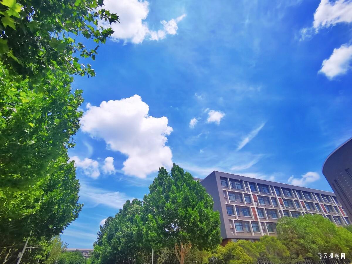 應屆生回省內單招可以嗎