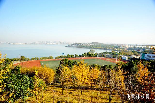 職高生單招沒考上落榜怎么辦