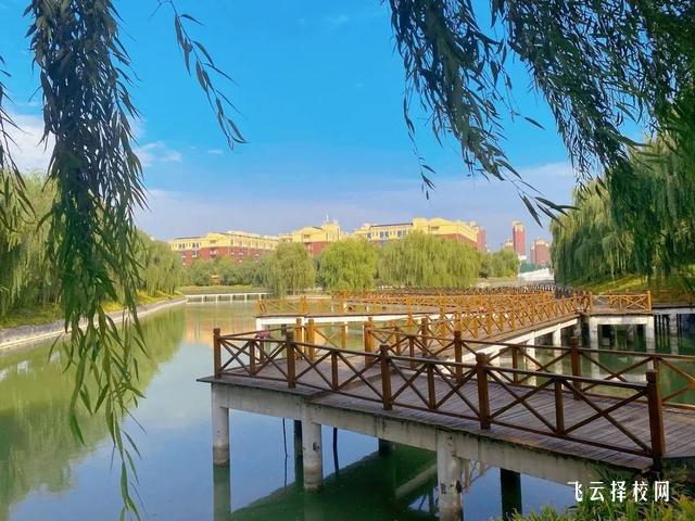 中職單招考什么內容