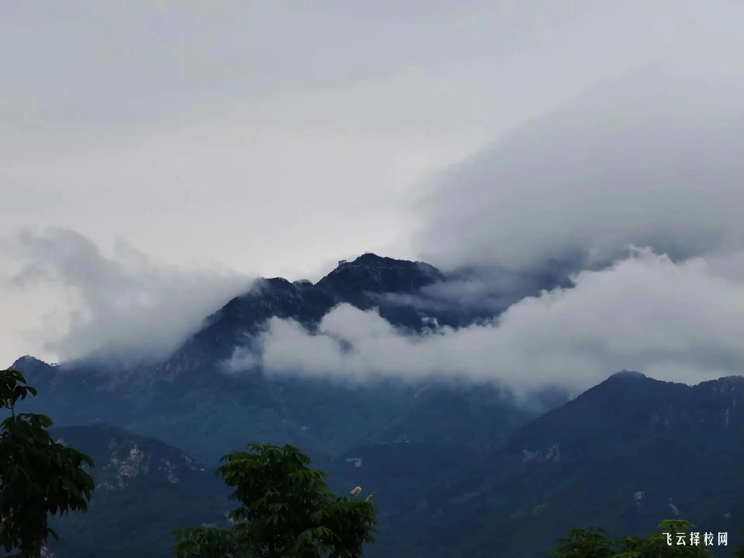 2025年成都醫(yī)學院招生條件