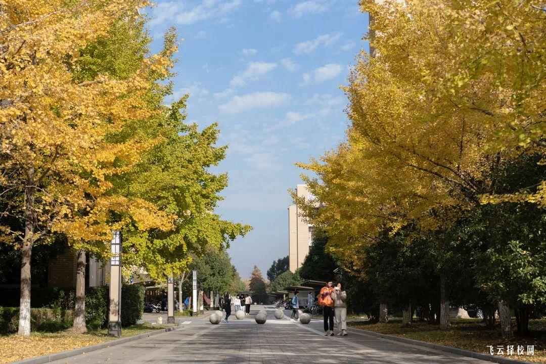 2025年達州職業學院招生計劃