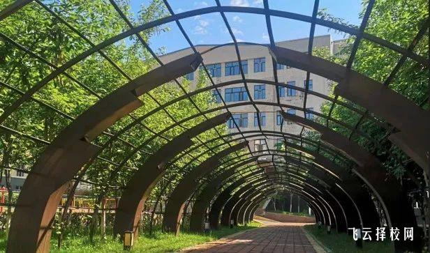 2025年綿陽職業(yè)技術(shù)學(xué)院招生計(jì)劃