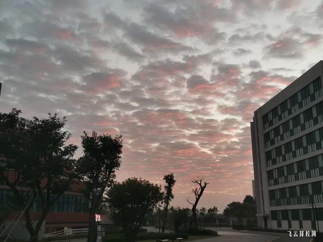 2025年內(nèi)江職院中考招生分?jǐn)?shù)線