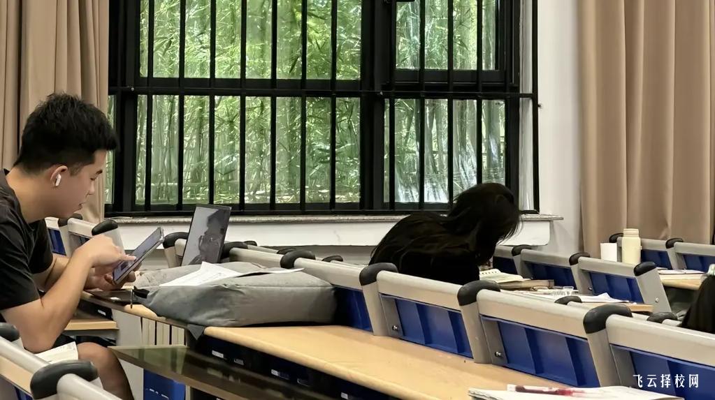 安岳第一職校和資陽環境科技院校哪個好