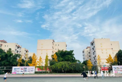 成都禮儀職業(yè)學(xué)院2025年招生簡(jiǎn)章