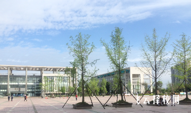 成都市技師學院好不好,值不值得去