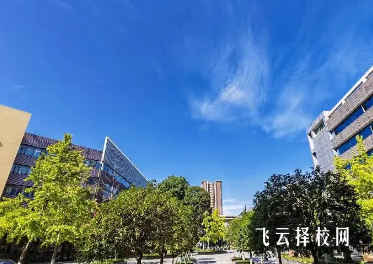 成都職業技術學院初中生畢業可以上嗎