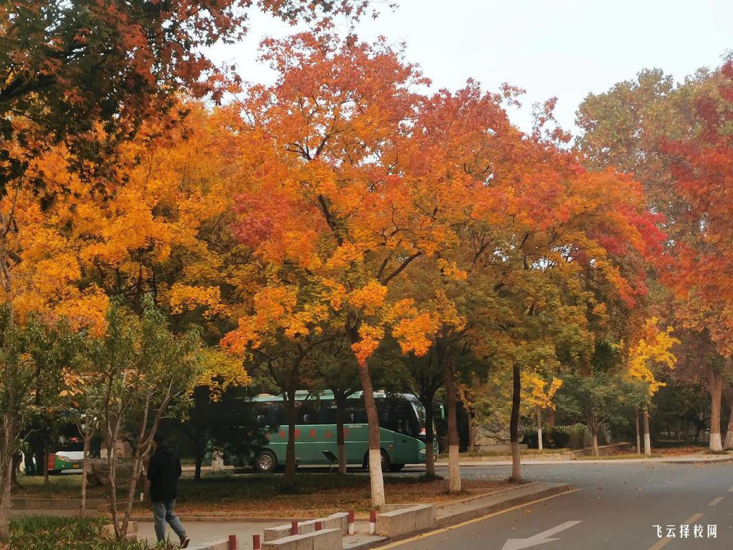 廣元信息職業技術學院一年要多少學費