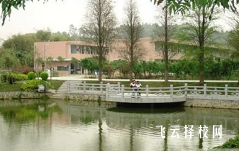 樂山欣欣職業(yè)技術學院有哪些專業(yè)