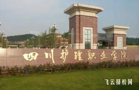 龍泉驛區護理職業學院在哪里