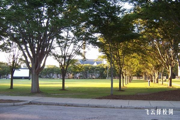 瀘職校和瀘職院有什么區(qū)別