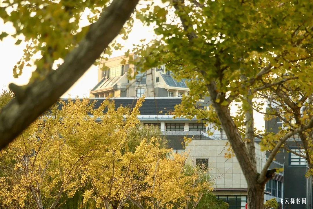 瀘職院2024年錄取線