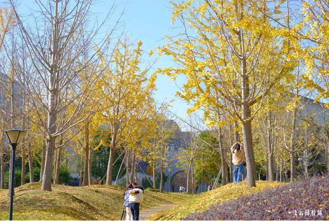 眉山航空旅游職業技術學院一年學費多少