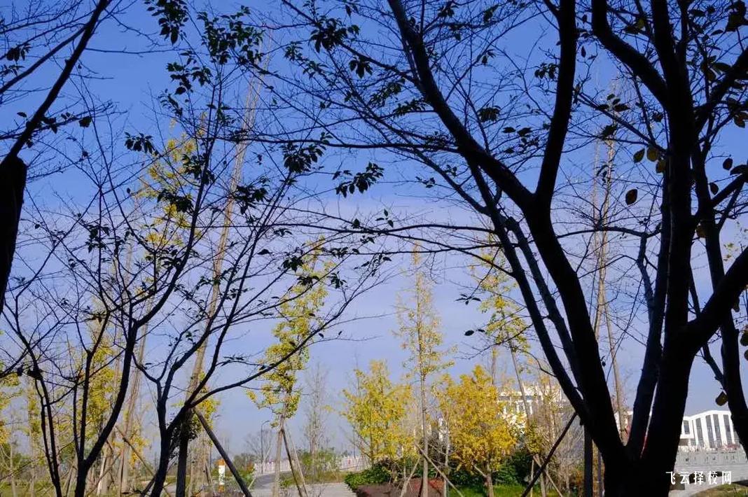 眉山航空旅游職業技術學院一年學費多少