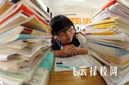 25年高二能參加單招考試嗎