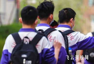 2025年成都職教高考對口單招的總分是多少