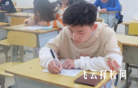 成都單招總分多少分2025